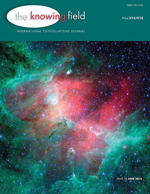 the-knowing-field-28-cover